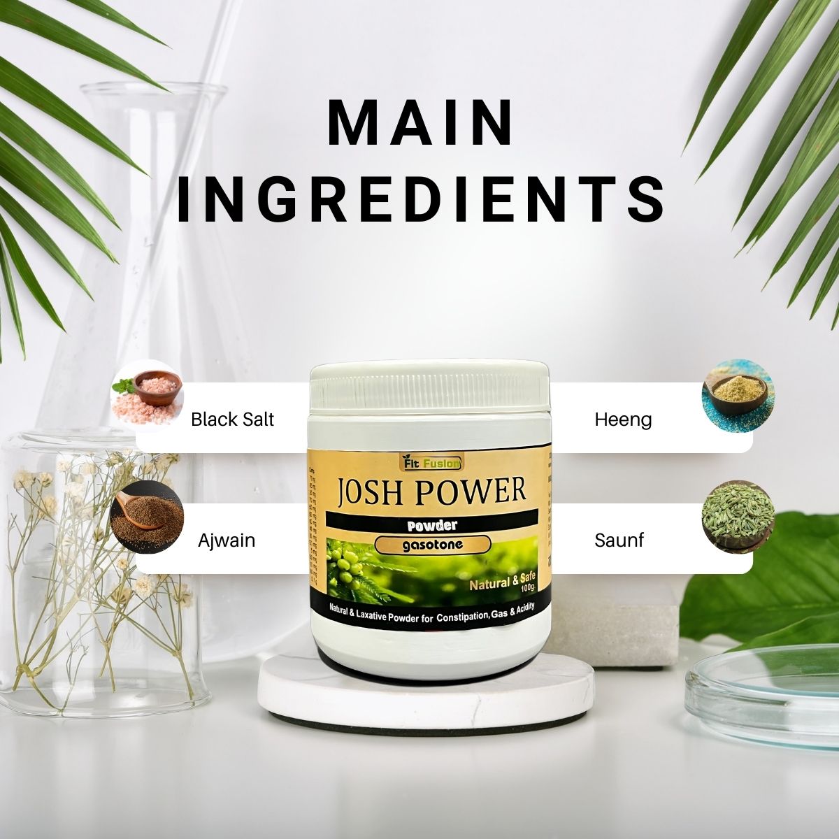 Fit Fusion Ayurveda Josh Power Gasotone Powder 100g - View 3