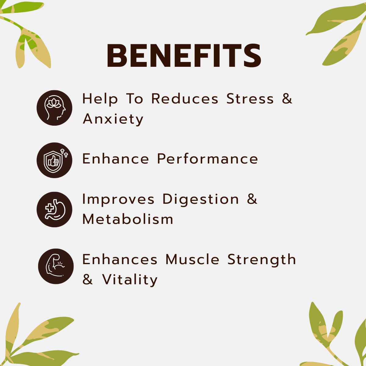 Fit Fusion Ayurveda Josh Power Men’s Health Combo Kit - View 2